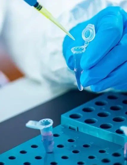 Scientist working in a lab, who is looking at samples.