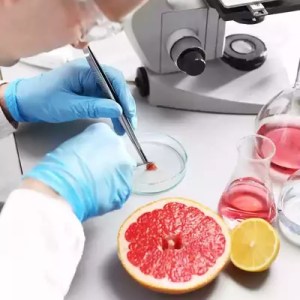 food testing of a grapefruit in a lab