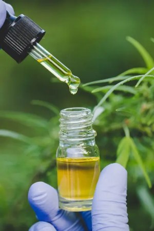testing hemp in a lab.