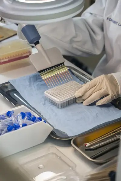Scientist examining DNA samples in a forensic laboratory.