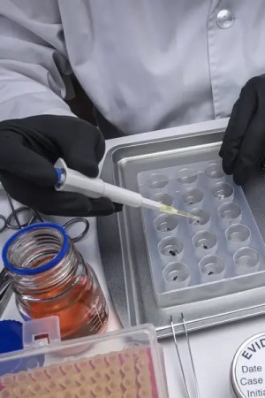 forensic scientists examining evidence from a crime scene.