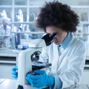 laboratory scientists inspecting