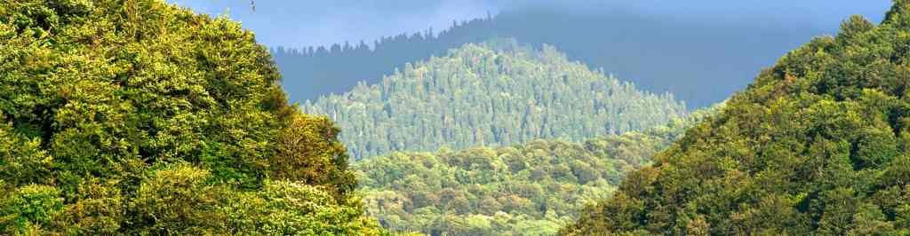 ANAB Launches Accreditation Program for Type I Environmental Labeling Certification Programs