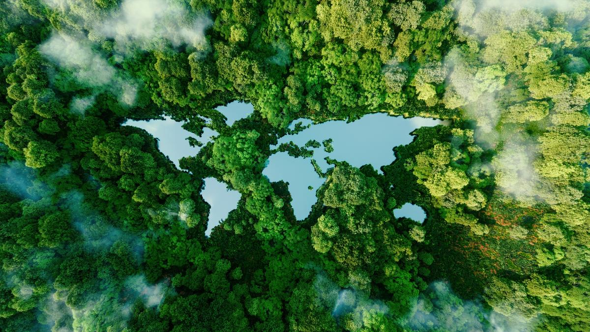 earth with sustainable forest