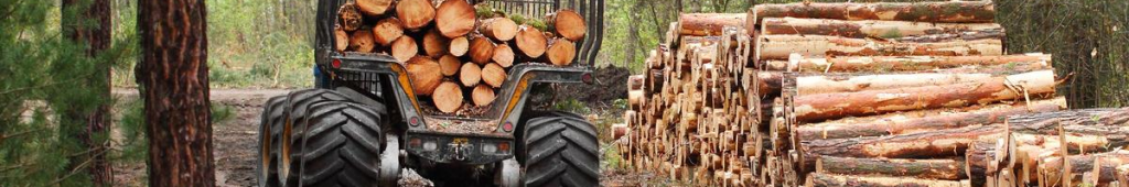 tractor full of logs in a forest, demonstrating sustainable forestry 