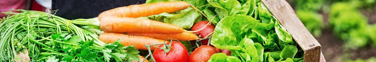 fresh lettuce, carrots, and tomatoes form farmers market in a basket.