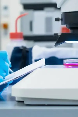 Researcher in a lab taking notes about a sample on a petri dish to ensure it adheres to ISO 17034.