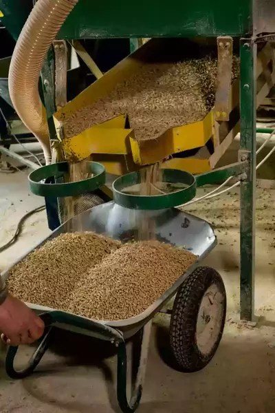 animal feed