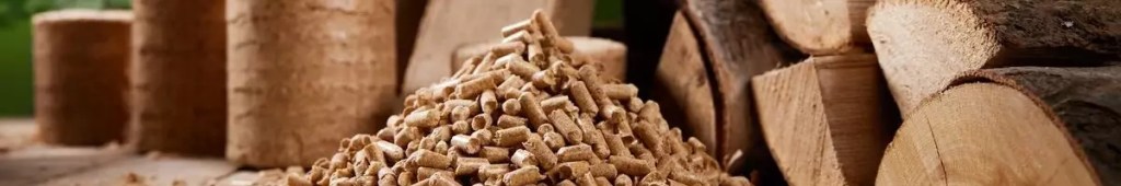 Pyramid of biofuel pellets stacked on wooden table near biomass briquettes and chopped firewood against lush green oak tree