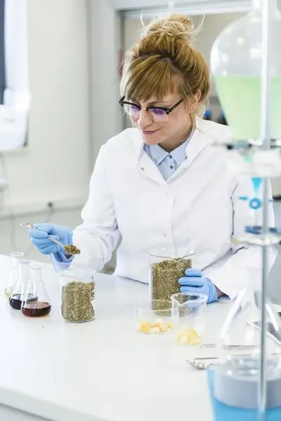 Scientist in a lab examining dried cannabis and hemp and testing adhering to ASTM D8375.